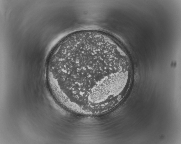 X0000112541414200909141301
