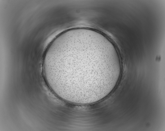 X0000112541415200909141301