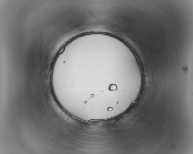 X0000112541416200909141301