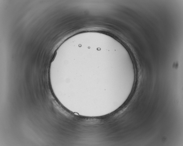 X0000112541417200909141301