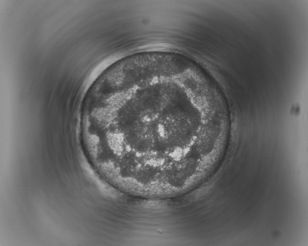 X0000112541418200909141301