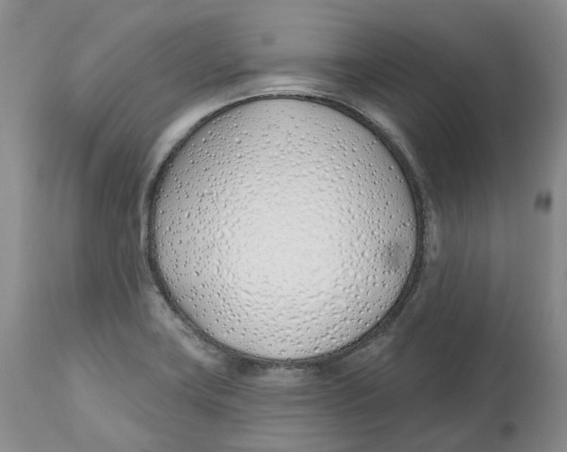 X0000112541419200909141301