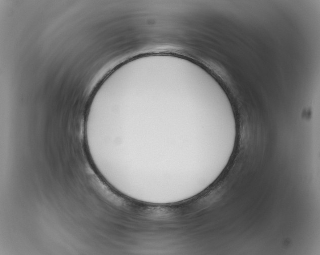 X0000112541420200909141301