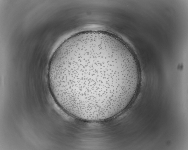 X0000112541421200909141301