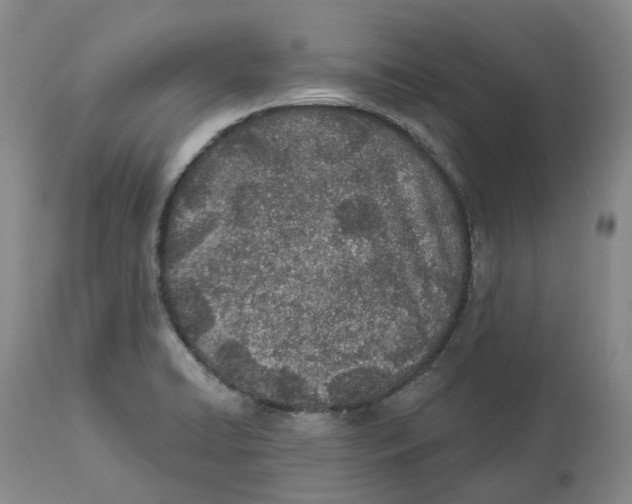 X0000112541422200909141301
