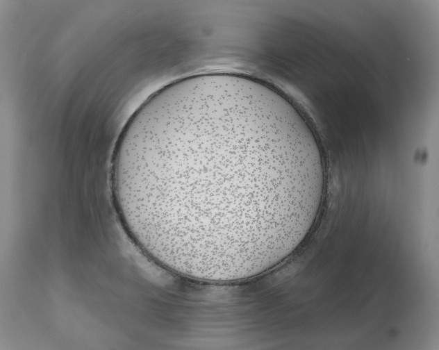 X0000112541423200909141301