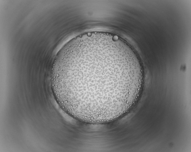 X0000112541425200909141301