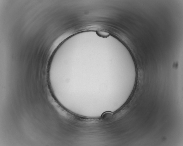 X0000112541426200909141301