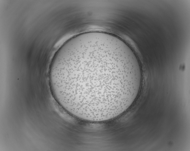 X0000112541427200909141301