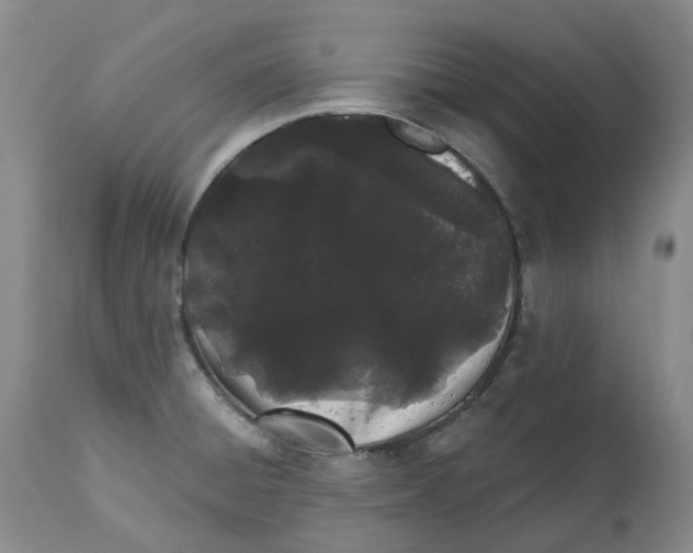 X0000112541428200909141301