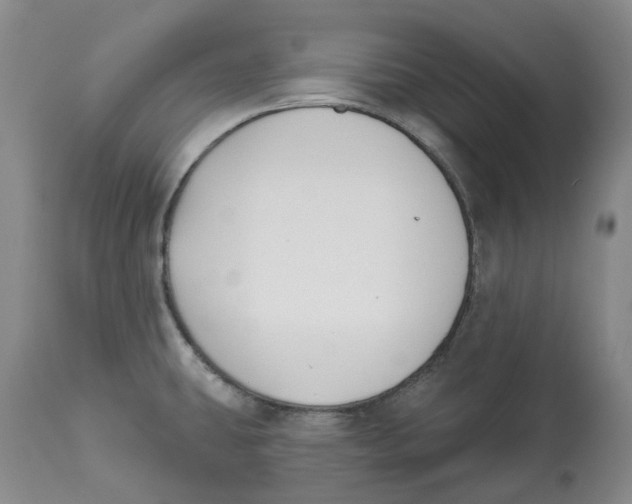 X0000112541431200909141301