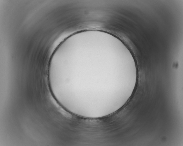 X0000112541432200909141301