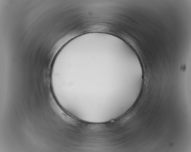 X0000112541434200909141301