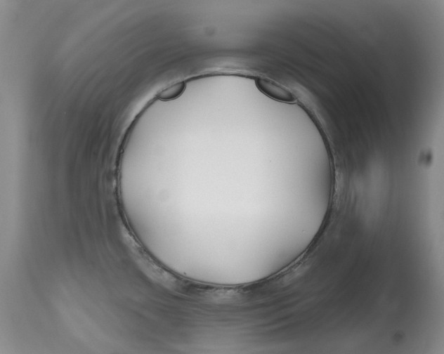 X0000112541435200909141301