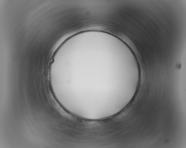X0000112541436200909141301