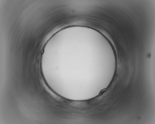 X0000112541437200909141301