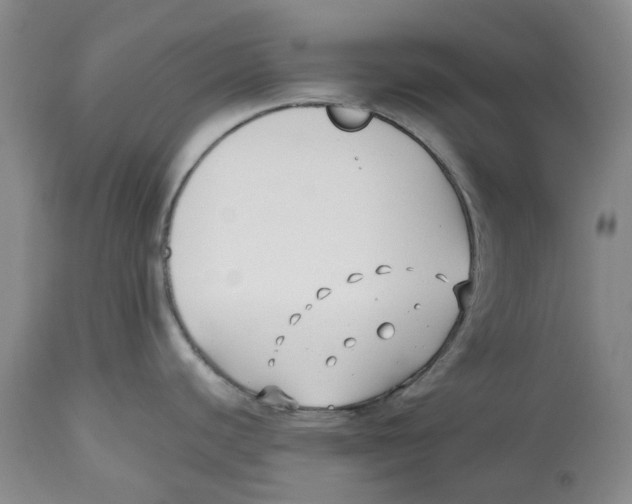 X0000112541440200909141302