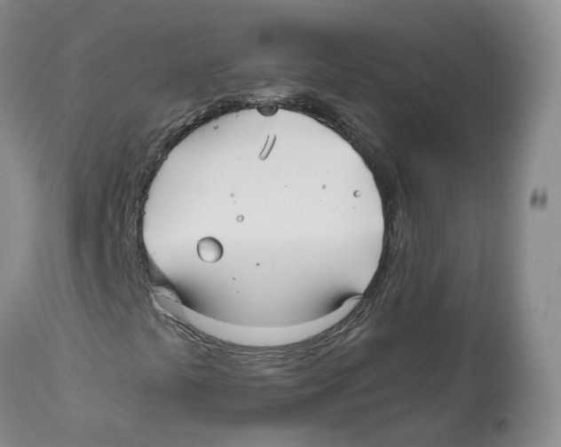 X0000112541441200909141301