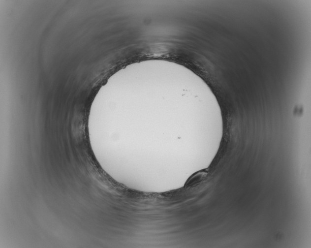 X0000112541442200909141301