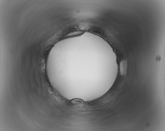 X0000112541443200909141301
