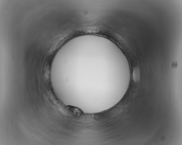 X0000112541444200909141301