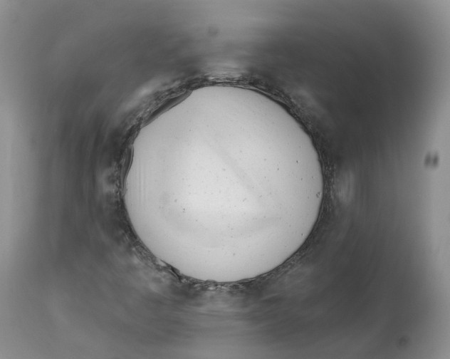 X0000112541445200909141301