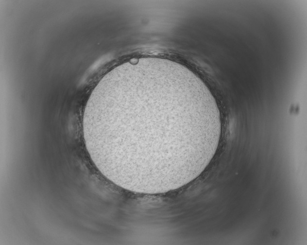 X0000112541446200909141301