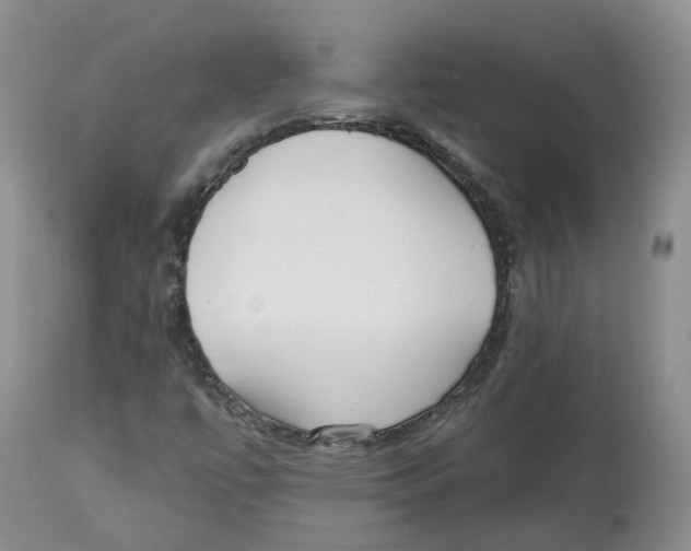 X0000112541447200909141301