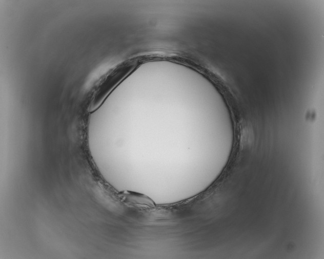 X0000112541448200909141301