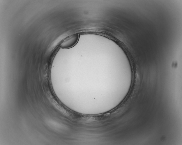 X0000112541450200909141301