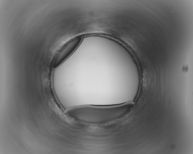 X0000112541452200909141301