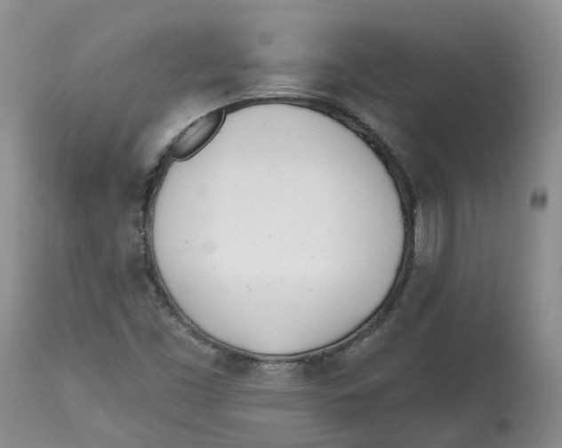 X0000112541453200909141301