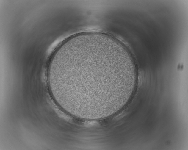 X0000112541454200909141301