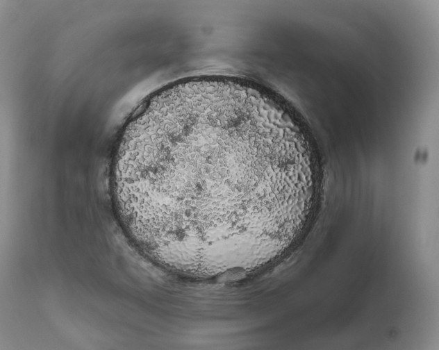 X0000112541455200909141301