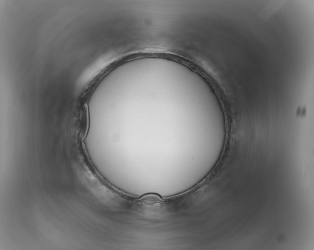 X0000112541456200909141301
