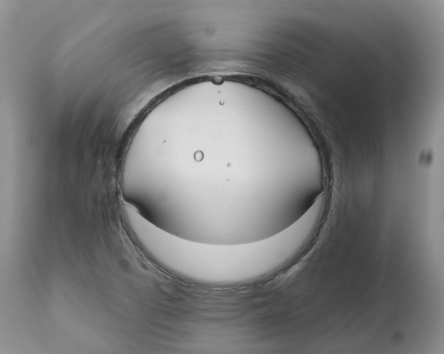 X0000112541457200909141300