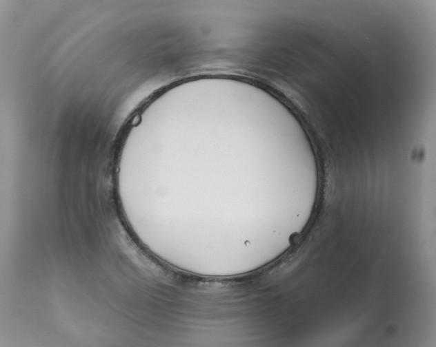 X0000112541458200909141300