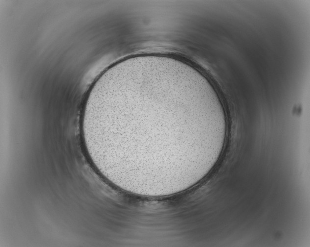 X0000112541459200909141300