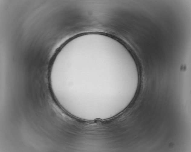 X0000112541460200909141300