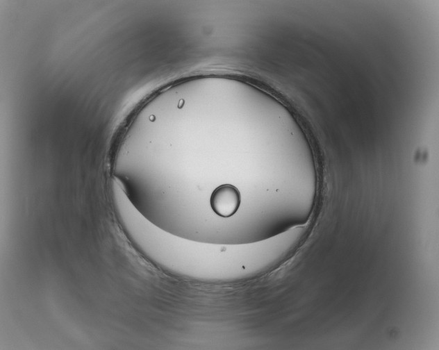 X0000112541461200909141300