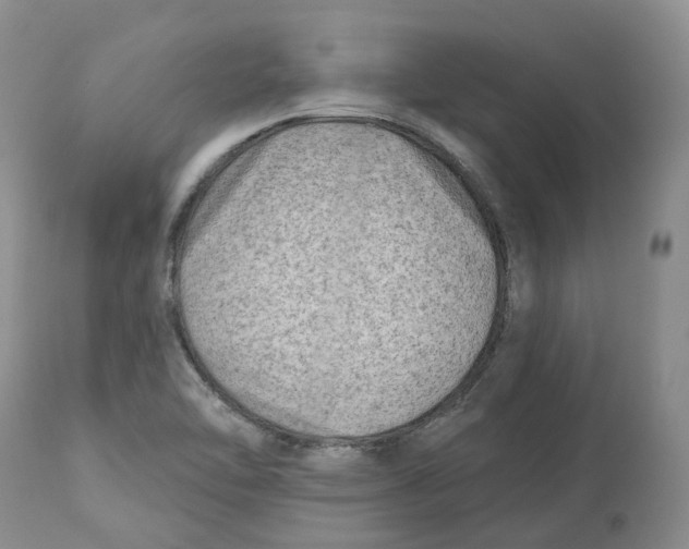 X0000112541462200909141300