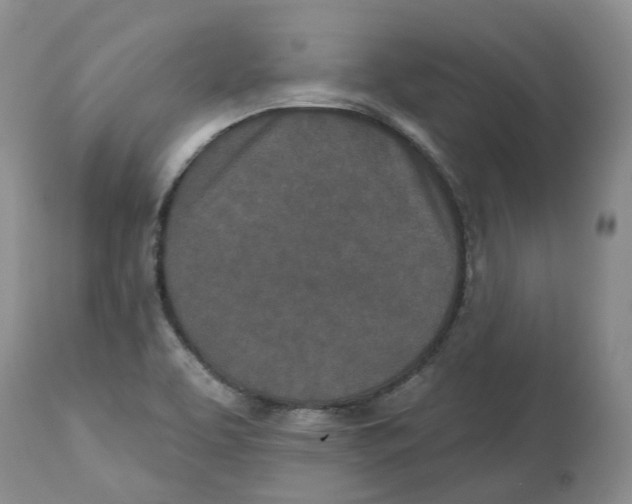 X0000112541463200909141300