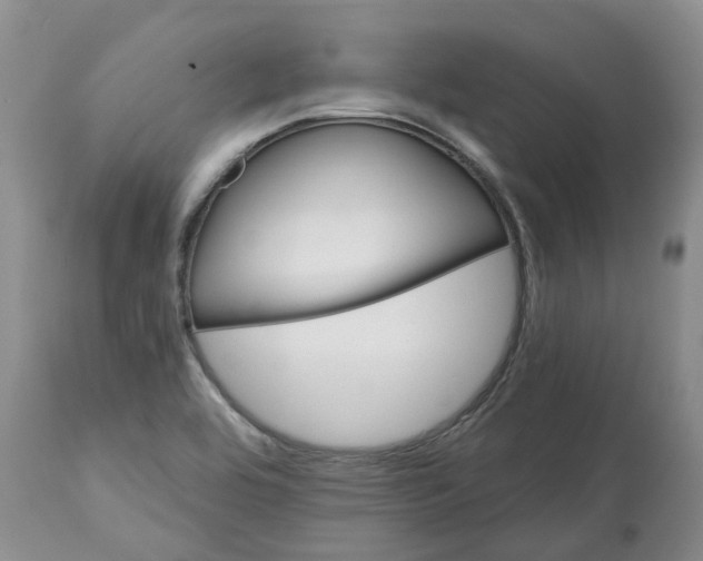 X0000112541464200909141300