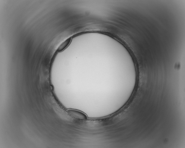 X0000112541465200909141300