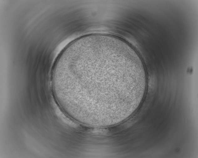 X0000112541466200909141300