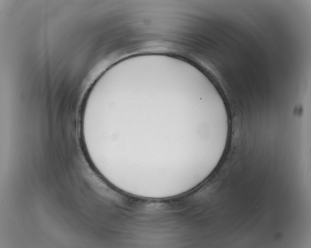 X0000112541467200909141300