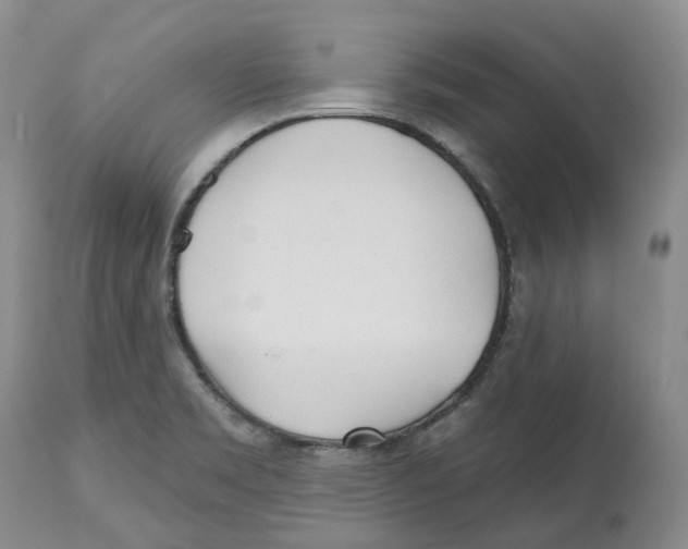 X0000112541469200909141300