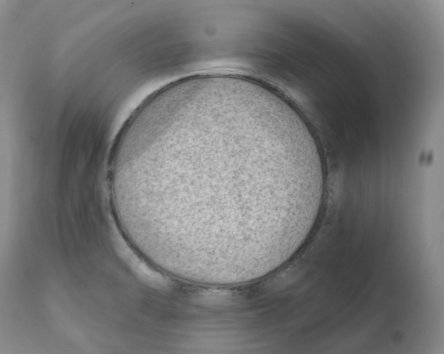 X0000112541470200909141300