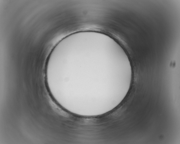 X0000112541471200909141300
