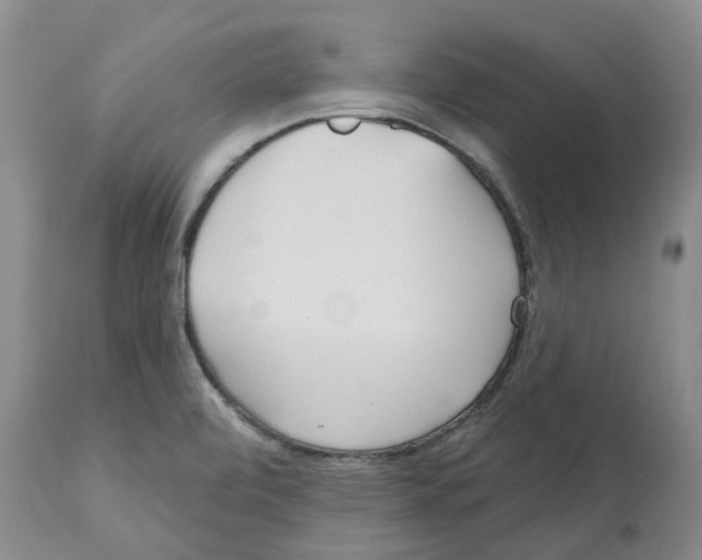 X0000112541472200909141300